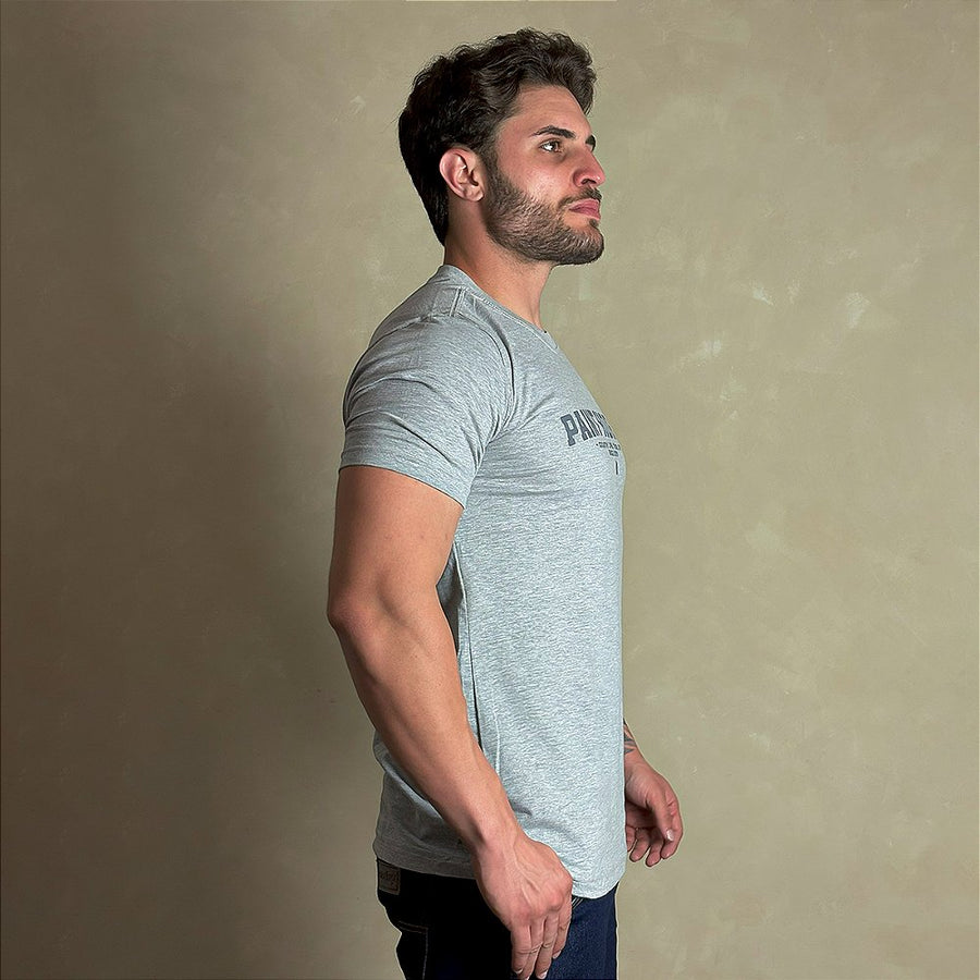 Camiseta Masculina Country Cinza Algodão Agro Paint Horse
