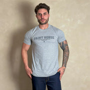 Camiseta Masculina Country Cinza Algodão Agro Paint Horse