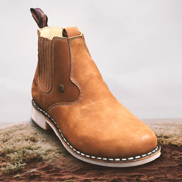 Botas e Botinas